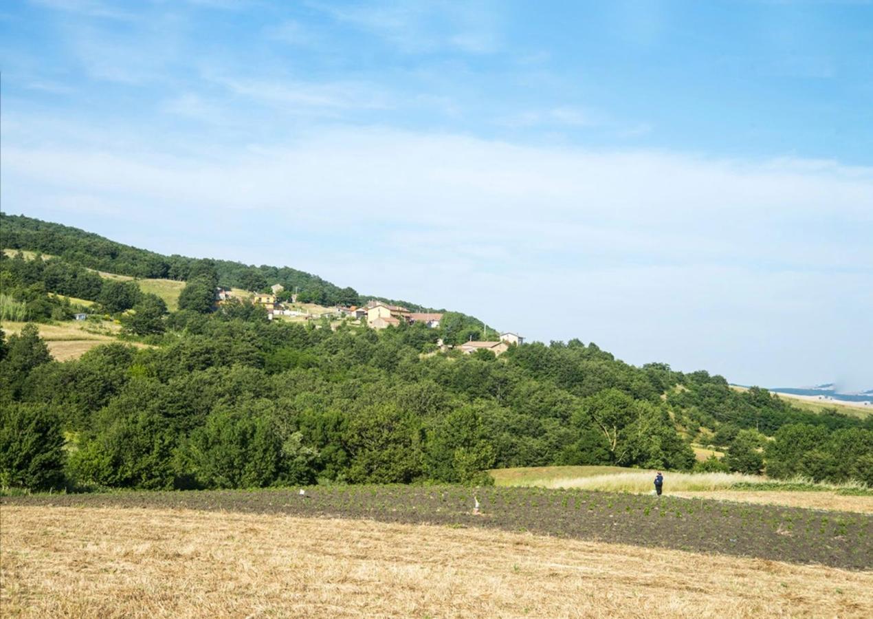 Le Pitture Casa Di Campagna Filiano Eksteriør bilde
