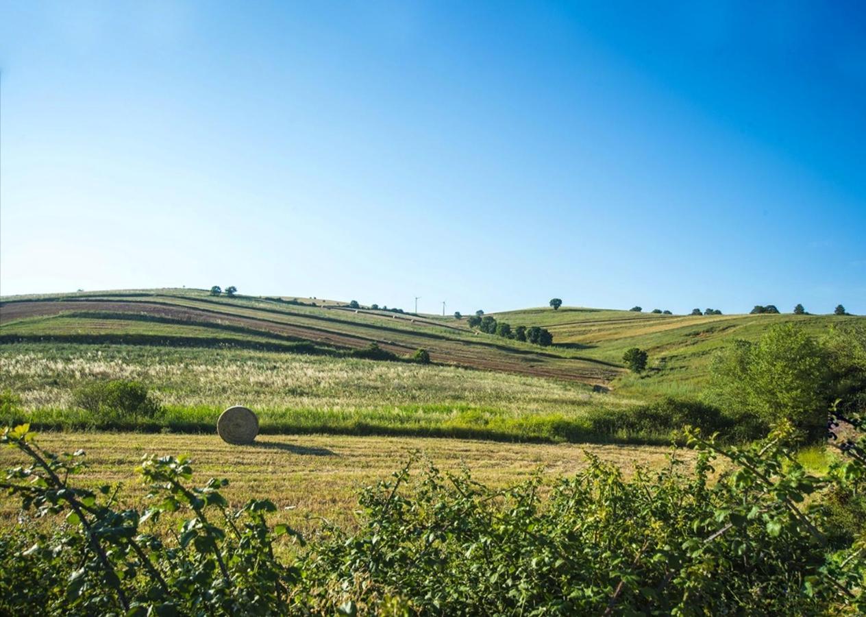 Le Pitture Casa Di Campagna Filiano Eksteriør bilde