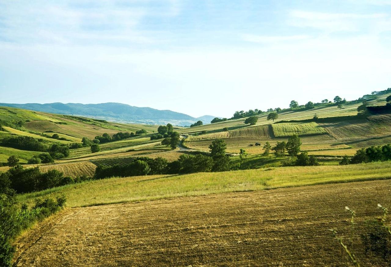 Le Pitture Casa Di Campagna Filiano Eksteriør bilde